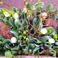 Unser Tulpenbeet to go.